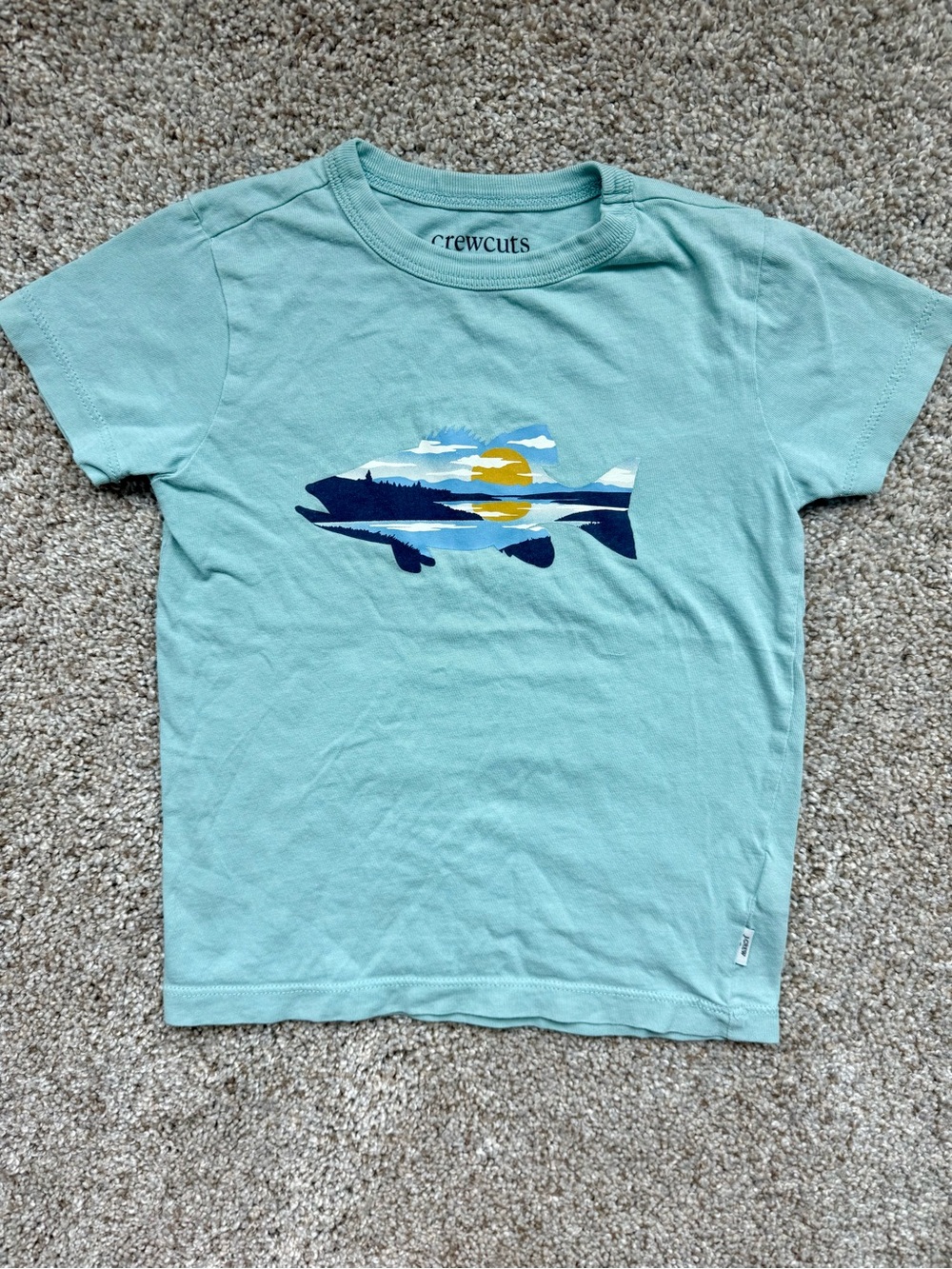 Jcrew Kids Aqua Tee with Nautical Fish Sunset Graphic
